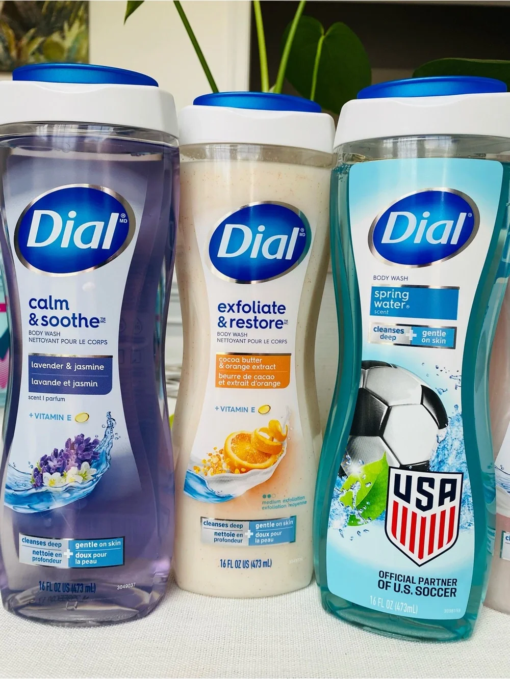 Dial body wash (4)